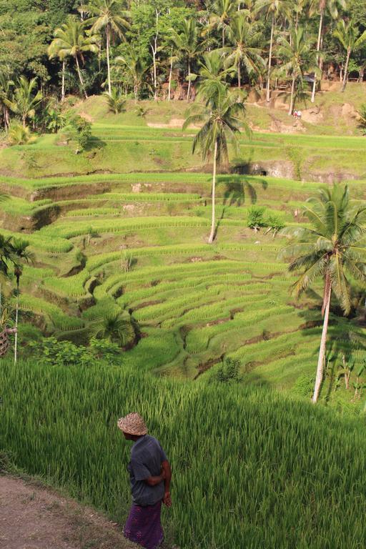 Uma Kama * Ubud