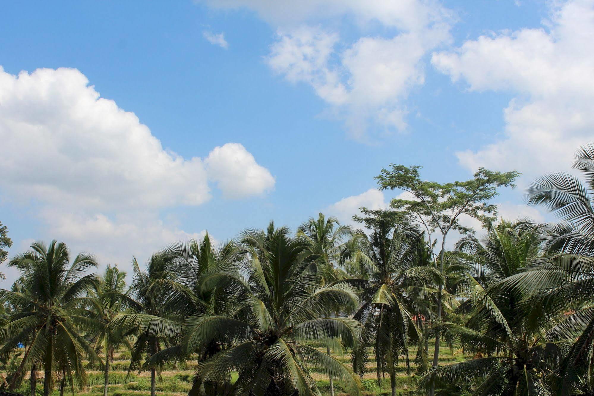 Uma Kama Villa Ubud